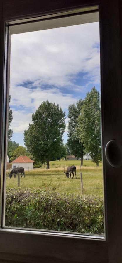 Chambres D'Hotes B&B Cote D'Opale La Fermette Du Lac Ardres Bagian luar foto